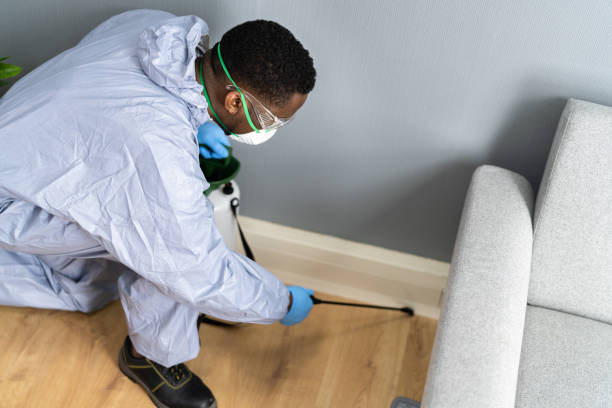 Best Pest Control for Multi-Family Homes  in Rancho Palos Verdes, CA